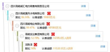 四川海能誠匯電力銷售有限責任公司